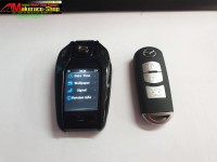 493571.jpg